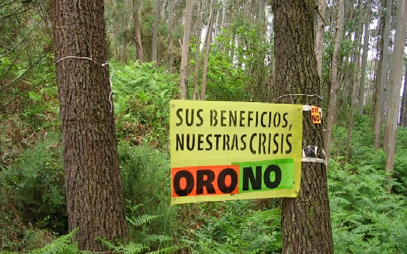 (Foto: Reprodução)