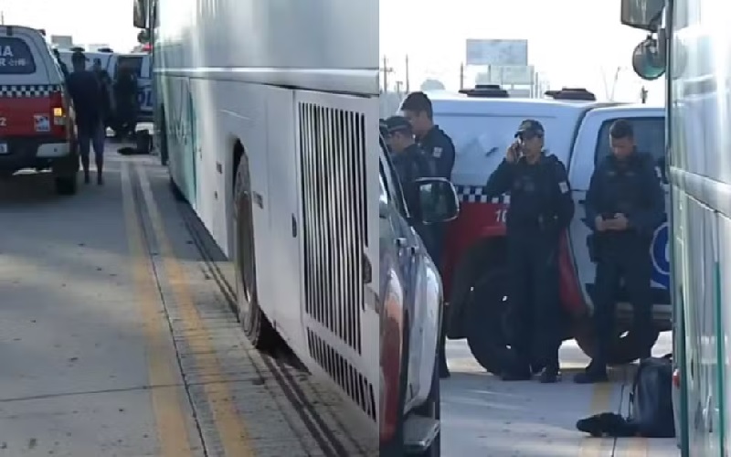 Acidente ocorreu na pista do BRT da avenida Augusto Montenegro, em Belém. — Foto: Reprodução9 / TV Liberal