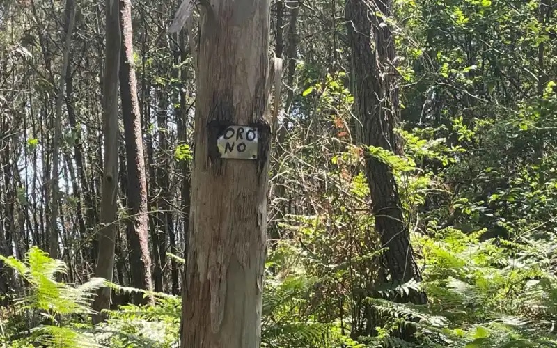 (Foto: No caminho onde estão as minas de Salave existem placas de Ouro, Não)