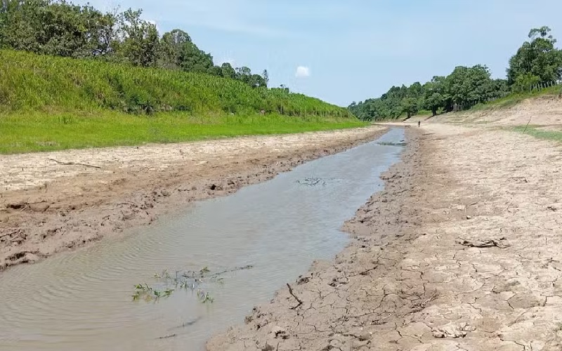 Seca severa muda paisagens de comunidades ribeirinhas de Santarém-PA — Foto: Sapopema / Divulgação