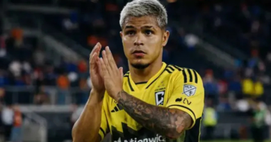 Design sem nome (16)