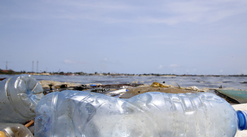 Design sem nome (59)