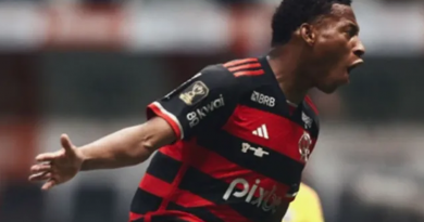 FLAMENGO