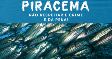 PIRACEMA