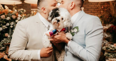 casamento homoafetivo