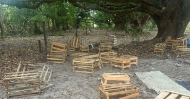 Foto: Dário Pedrosa/Divulgação