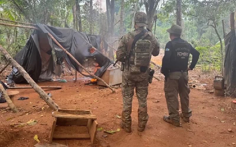 Agentes durante a ação da força-tarefa no local. — Foto: PF PA