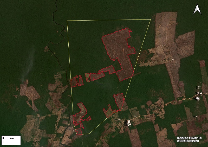 As investigações apontam para a atuação de um grupo criminoso que teria promovido e financiado o desmatamento de aproximadamente cinco mil hectares através de queimadas, com o intuito de transformar as áreas em pastagens para produção de gado. Conforme laudo pericial da PF, as ações ilícitas do grupo não se restringem ao desmatamento: também envolvem o comércio ilegal de minérios, prática que viola as leis de proteção de bens da União. A movimentação financeira do grupo teria sido feita por meio de empresas fictícias.