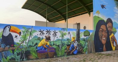 Creditos Ivan Oliveira-Arte em Cores 5_Segmento Painel coletivo em Ourilandia do Norte_02