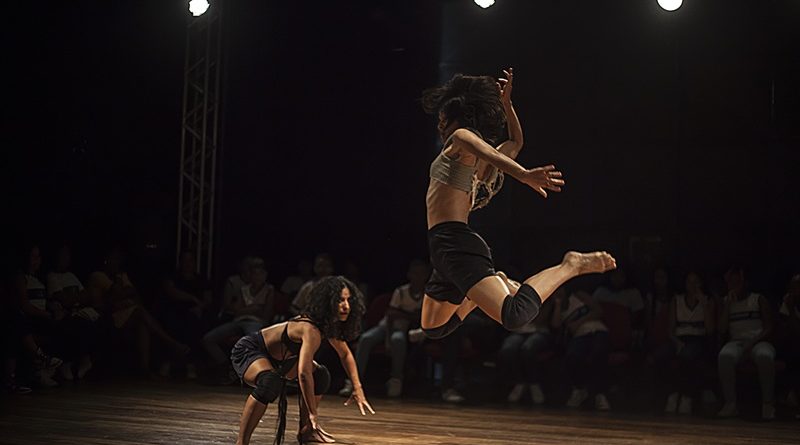 Cavalas [Foto por Cristiane Fernandes] (1)