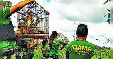 ibama
