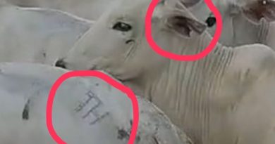 OCPhoto.761310102.414807