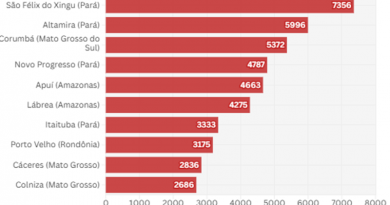 Fonte: Programa de Queimadas do Instituto Nacional de Pesquisas (Inpe). Análise e Visualização: InfoAmazonia.