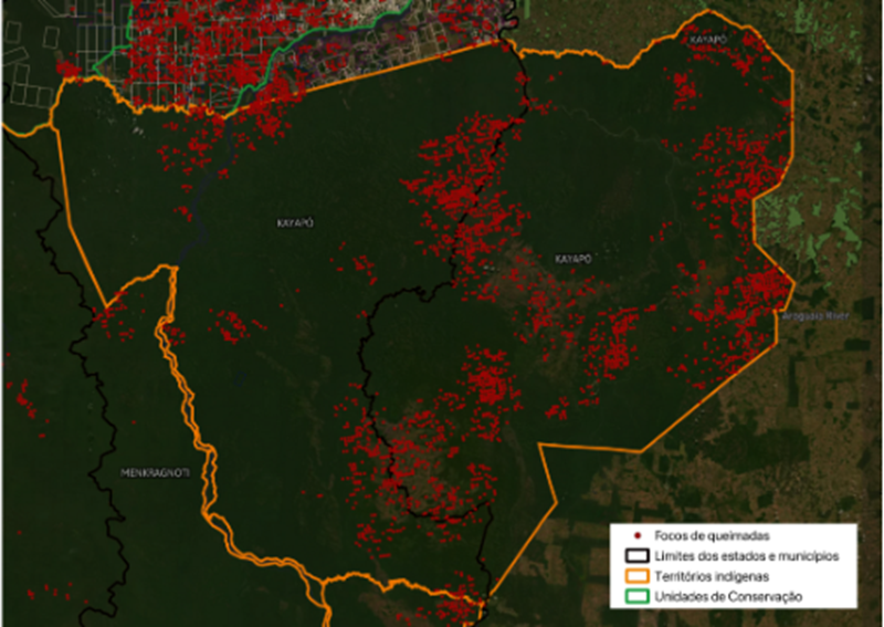    Fonte: Programa de Queimadas do Inpe. Análise e visualização: InfoAmazonia.