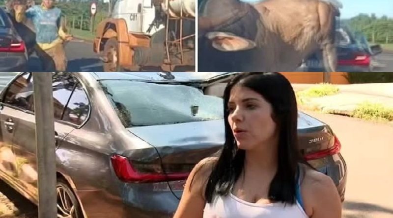 489047004_1247497200273844_6204764211345710904_n