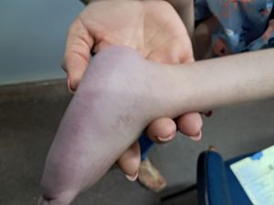 WhatsApp Image 2025-03-31 at 22.41.46