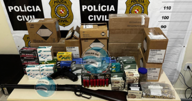 armas apreendidas NP