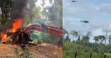 garimpo cripurizinho