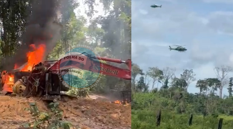 garimpo cripurizinho