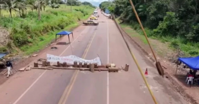 manifestação br230