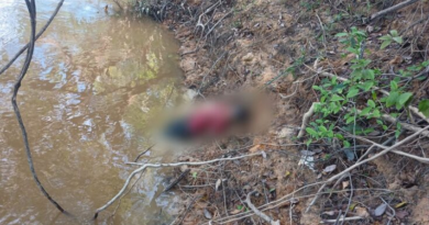 Novo Projeto - 2025-05-06T140004.204