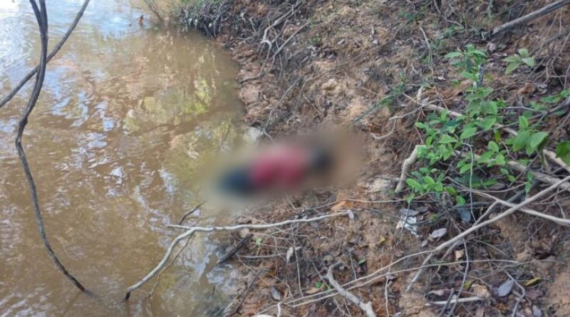 Novo Projeto - 2025-05-06T140004.204