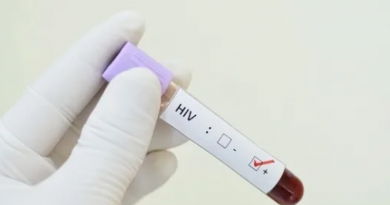 Novo Projeto - 2025-05-07T102729.530