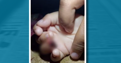 Novo Projeto - 2025-05-29T133228.663