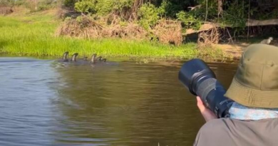 Novo Projeto - 2025-05-31T091158.690