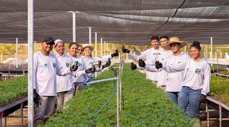 O viveiro da BJF emprega 11 viveiristas, além da equipe administrativa