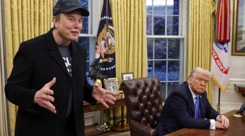 elon e trump