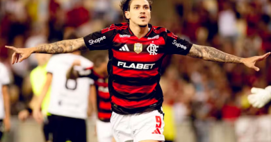 flamengo (1)