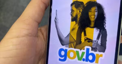 Aplicativo do gov.br, em imagem de arquivo — Foto: Iris Costa/g1