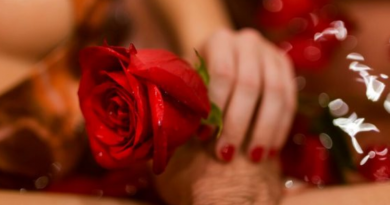 Novo Projeto - 2025-06-02T094018.690