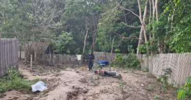 Novo Projeto - 2025-06-02T153305.720