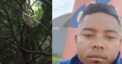 Novo Projeto - 2025-06-04T124101.628