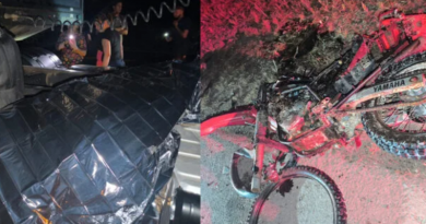 Novo Projeto - 2025-06-05T121208.227