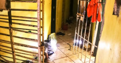 Novo Projeto - 2025-06-05T135836.350