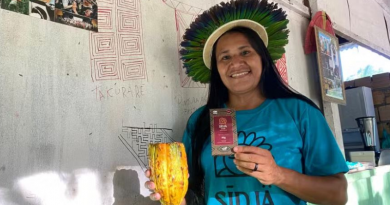 Novo Projeto - 2025-06-09T131443.121