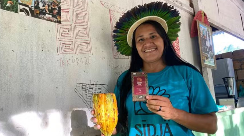 Novo Projeto - 2025-06-09T131443.121