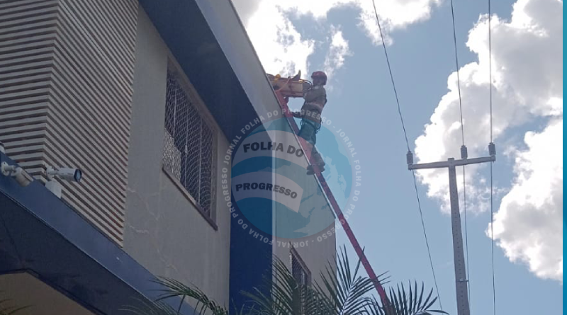 acidente alta tensão em NP