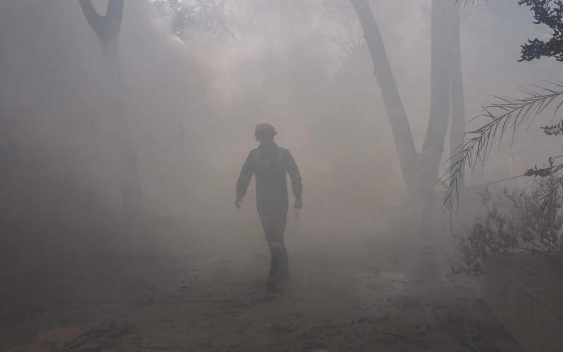 Das 242 pessoas, 217 são adultos, 11 crianças e dois bebês. | © REUTERS/Amit Dave