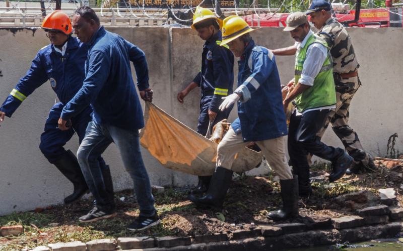 Das 242 pessoas, 217 são adultos, 11 crianças e dois bebês. | © REUTERS/Amit Dave