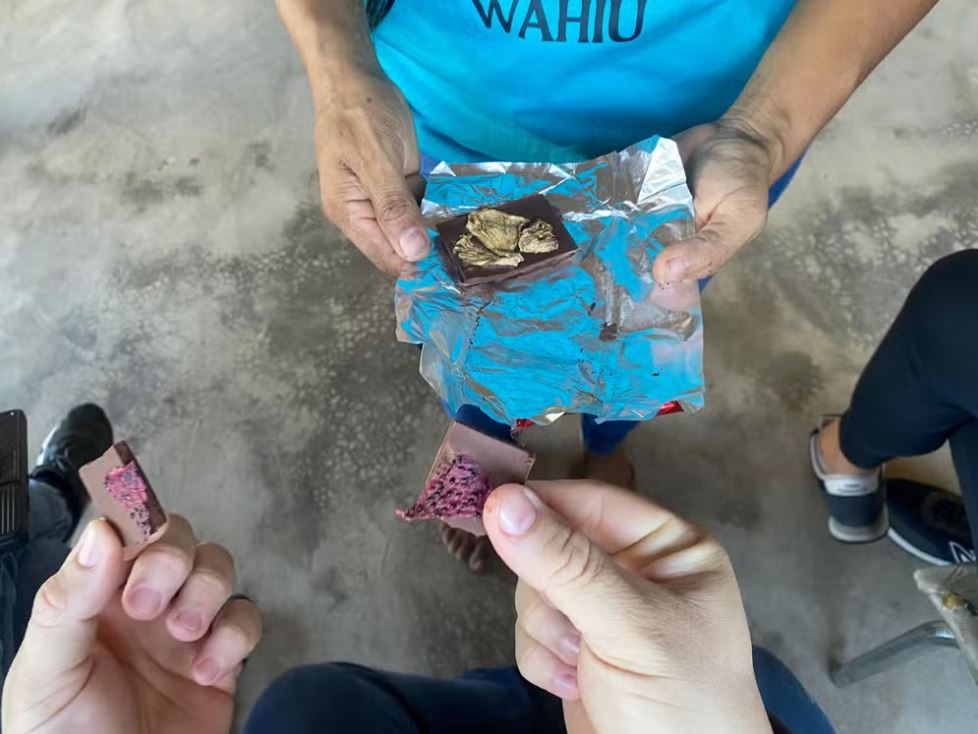 Chocolate fino da Sidjä Wahiü tem frutas desidratadas e origem no cacau da comunidade de Katyana. — Foto: Juliana Bessa / g1