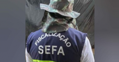 sefa (3)