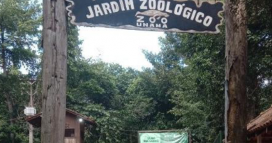 zoologico santarém
