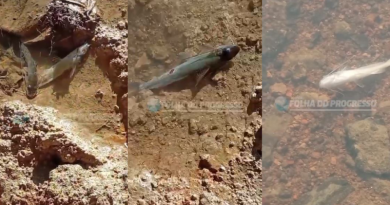 Novo Projeto - 2025-07-22T165109.104