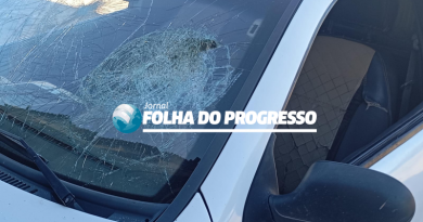 Novo Projeto (89)