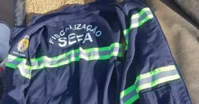 SEFA