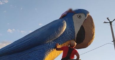 WhatsApp Image 2025-07-10 at 09.50.34